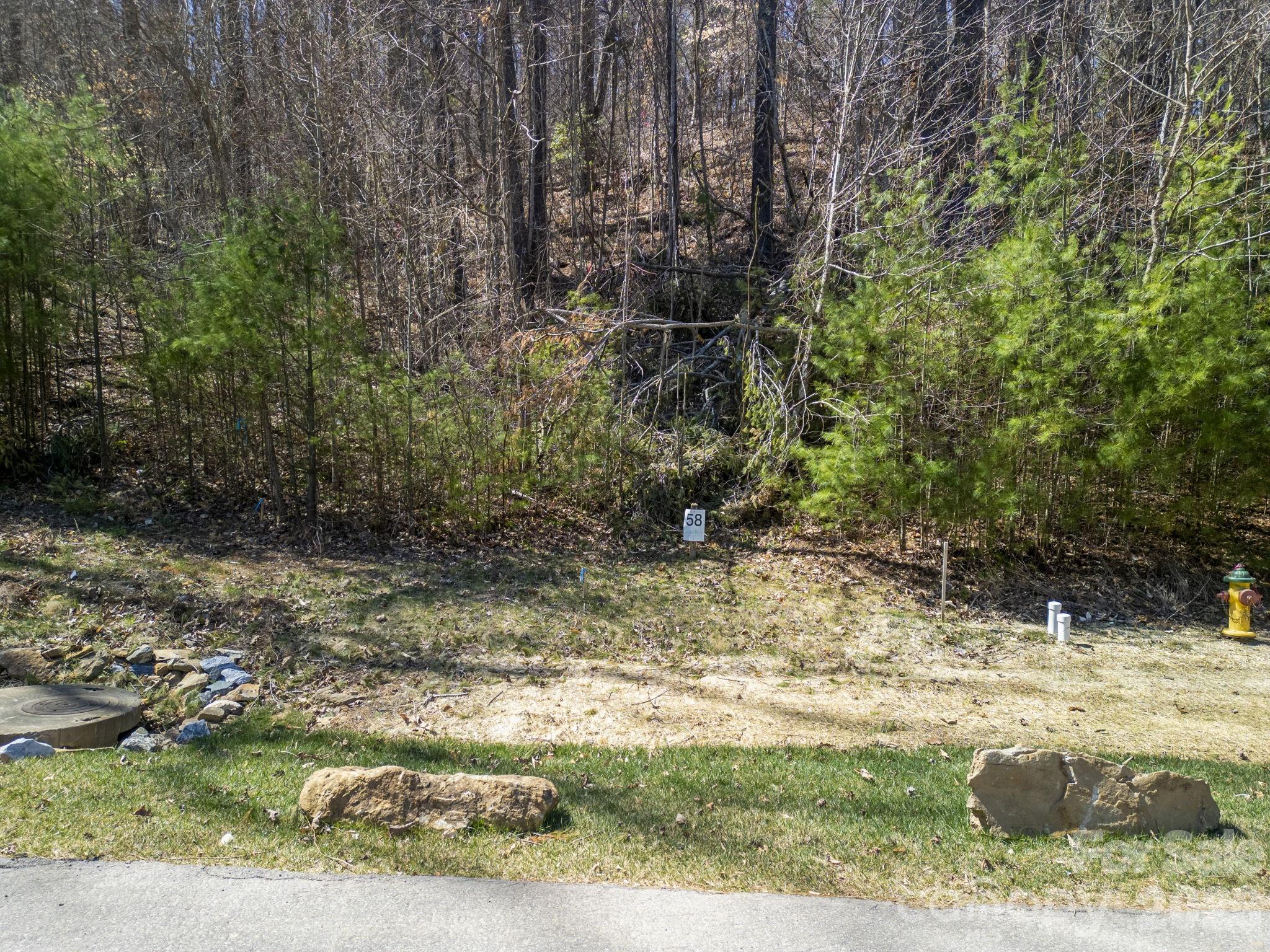 48 Longspur Lane Asheville NC 28804