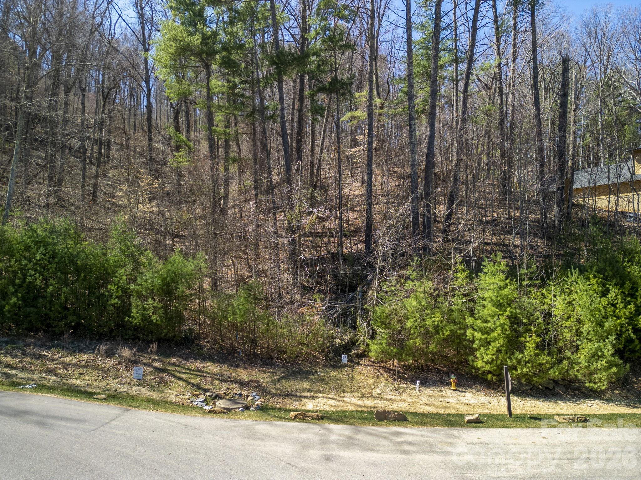48 Longspur Lane Asheville NC 28804