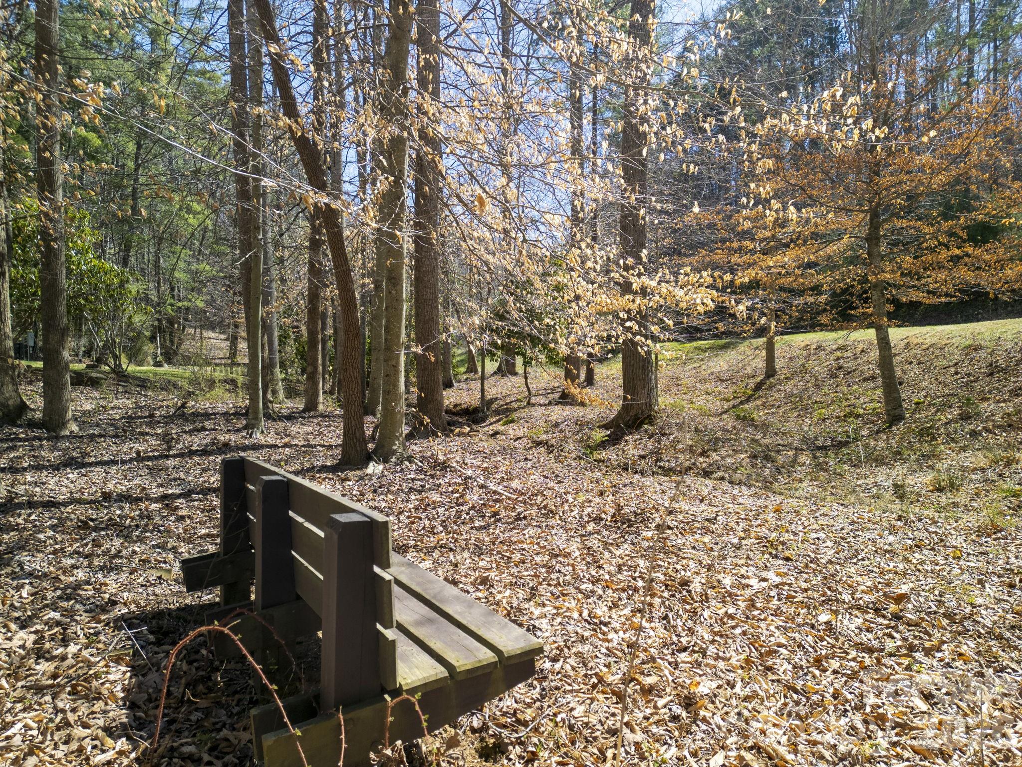 48 Longspur Lane Asheville NC 28804