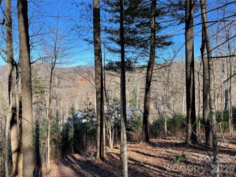 48 Longspur Lane Asheville NC 28804