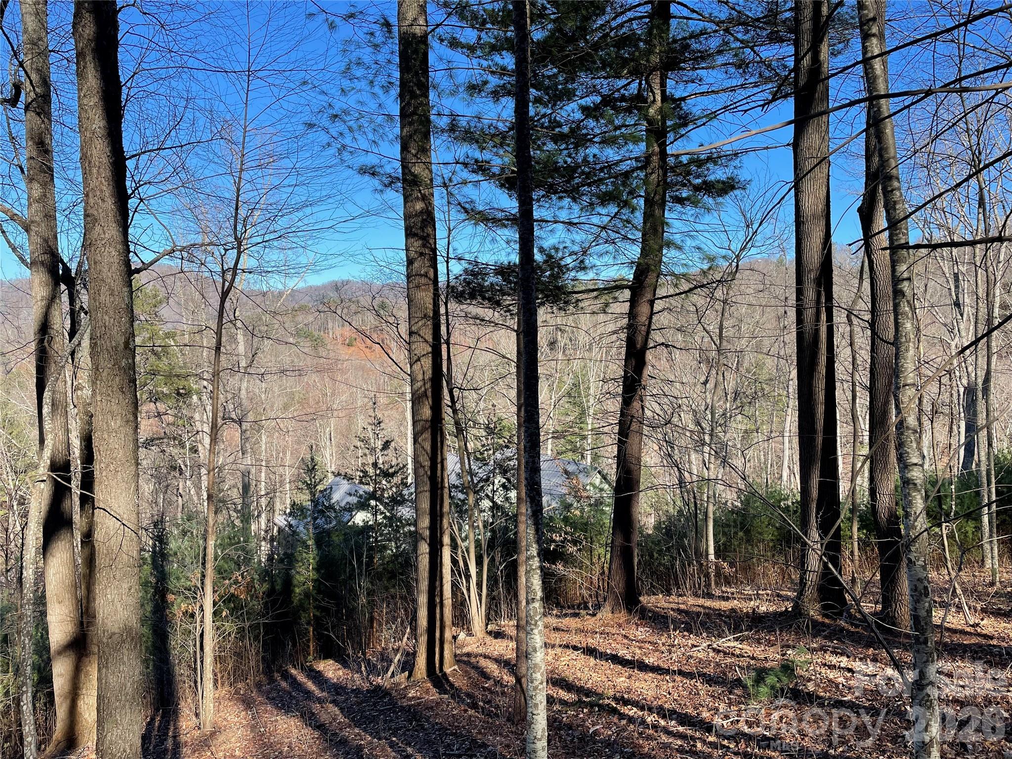 48 Longspur Lane Asheville NC 28804