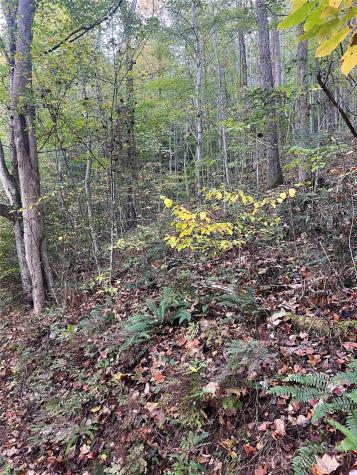 9999 Fox Town Road Hot Springs NC 28743