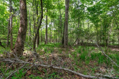 0000 Green Road Lancaster SC 29720