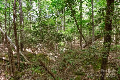 0000 Green Road Lancaster SC 29720