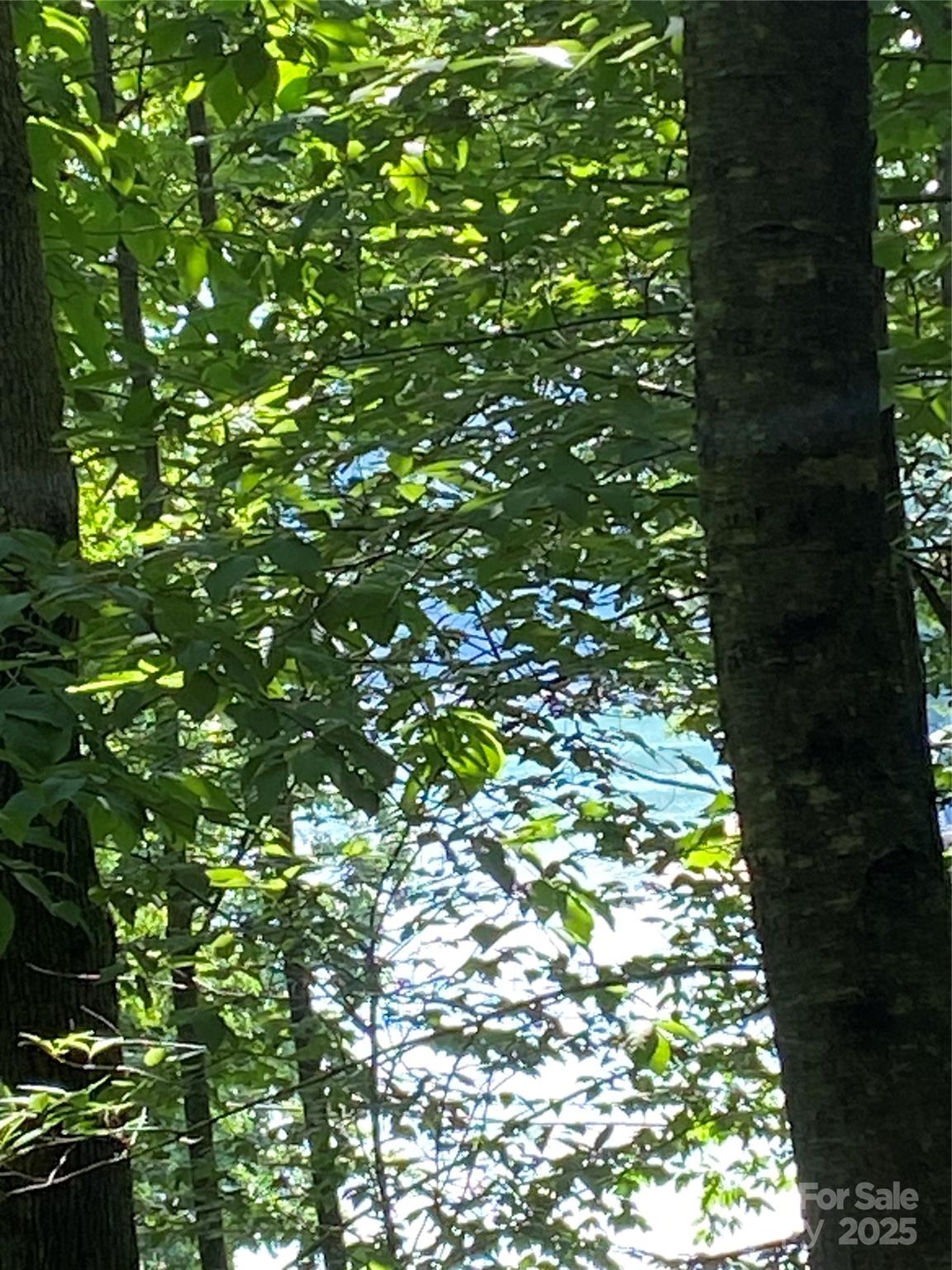 0 Falcons Avenue Lake Lure NC 28746