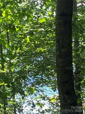 0 Falcons Avenue Lake Lure NC 28746