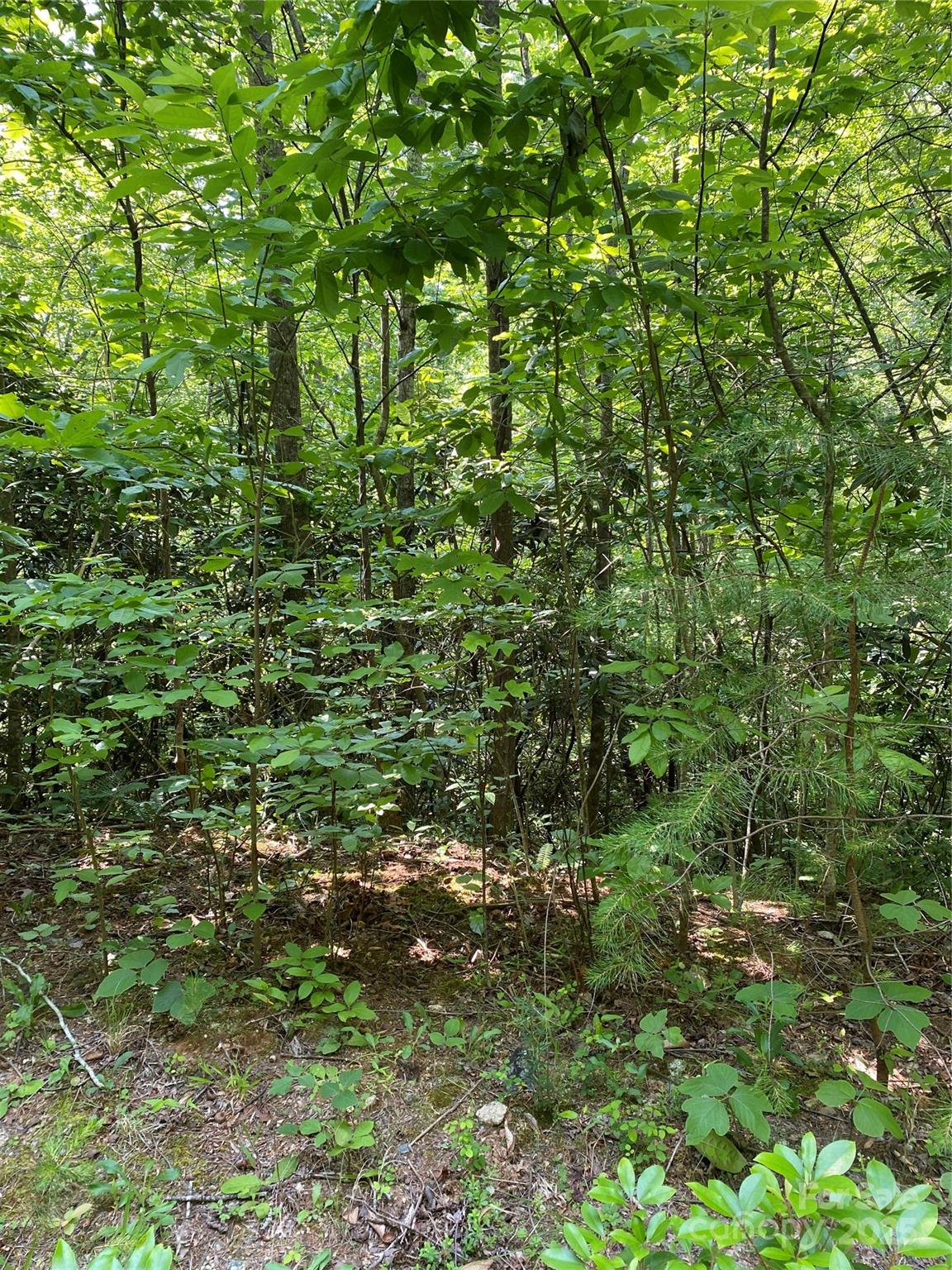0 Falcons Avenue Lake Lure NC 28746