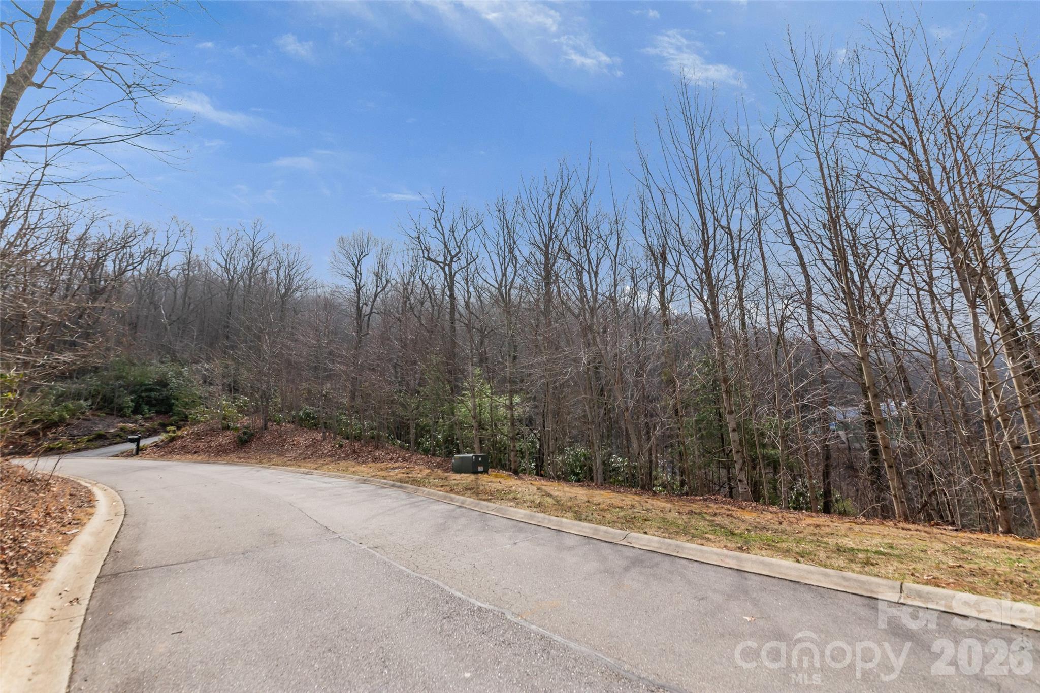 5 Crockett Ridge Road Black Mountain NC 28711