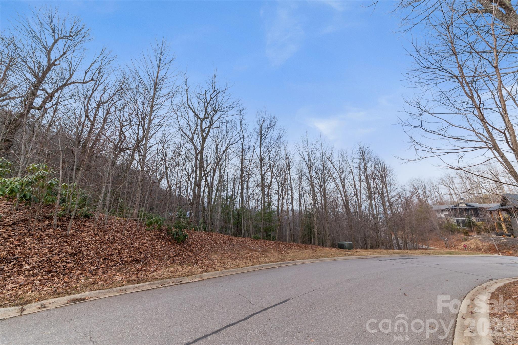 5 Crockett Ridge Road Black Mountain NC 28711