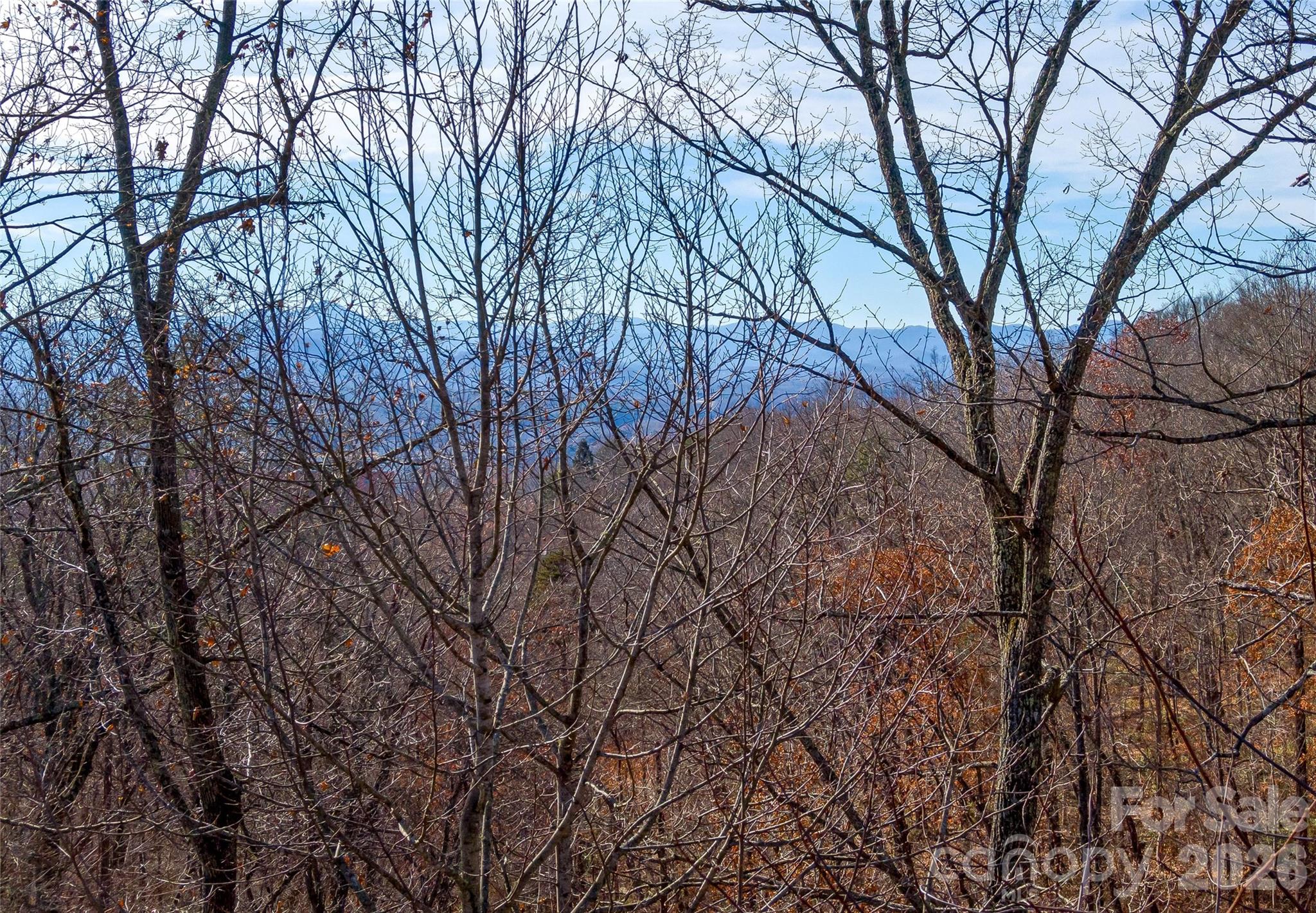 101 Reservoir Road Asheville NC 28803