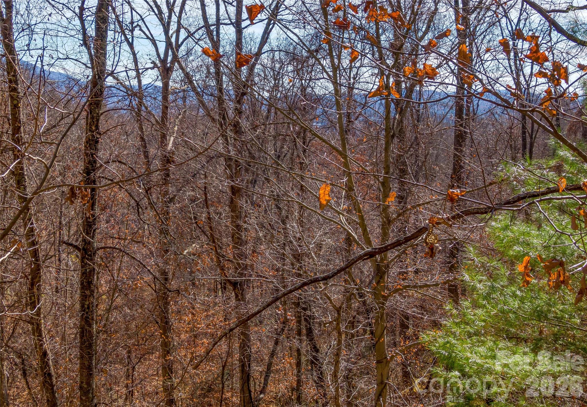 101 Reservoir Road Asheville NC 28803