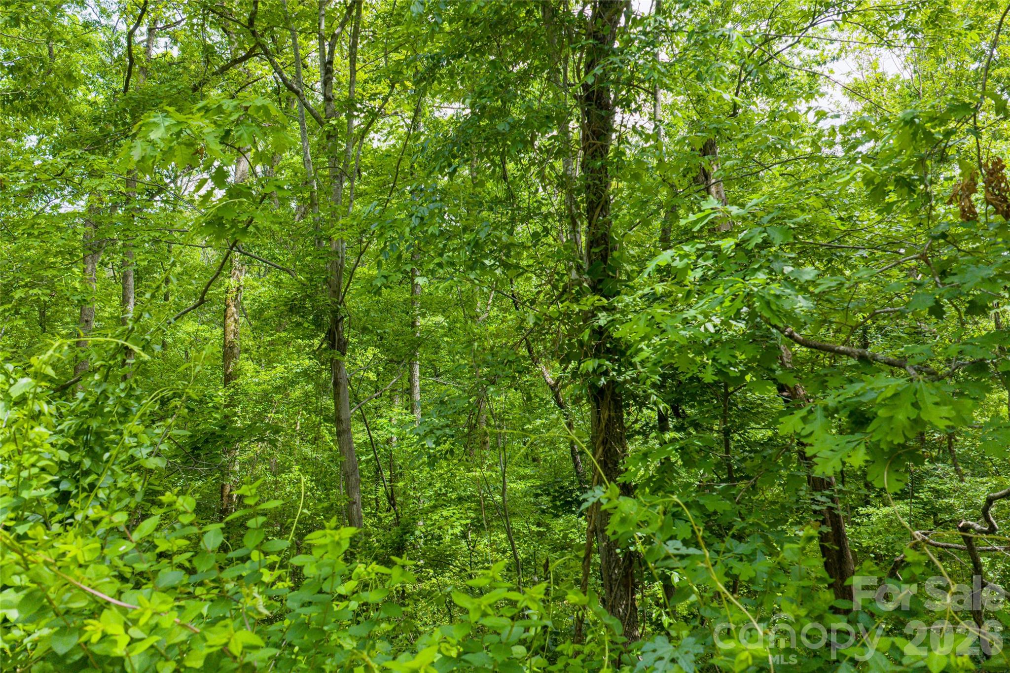 101 Reservoir Road Asheville NC 28803