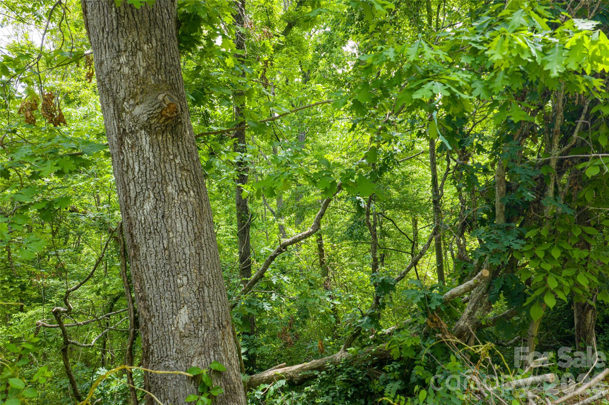 101 Reservoir Road Asheville NC 28803