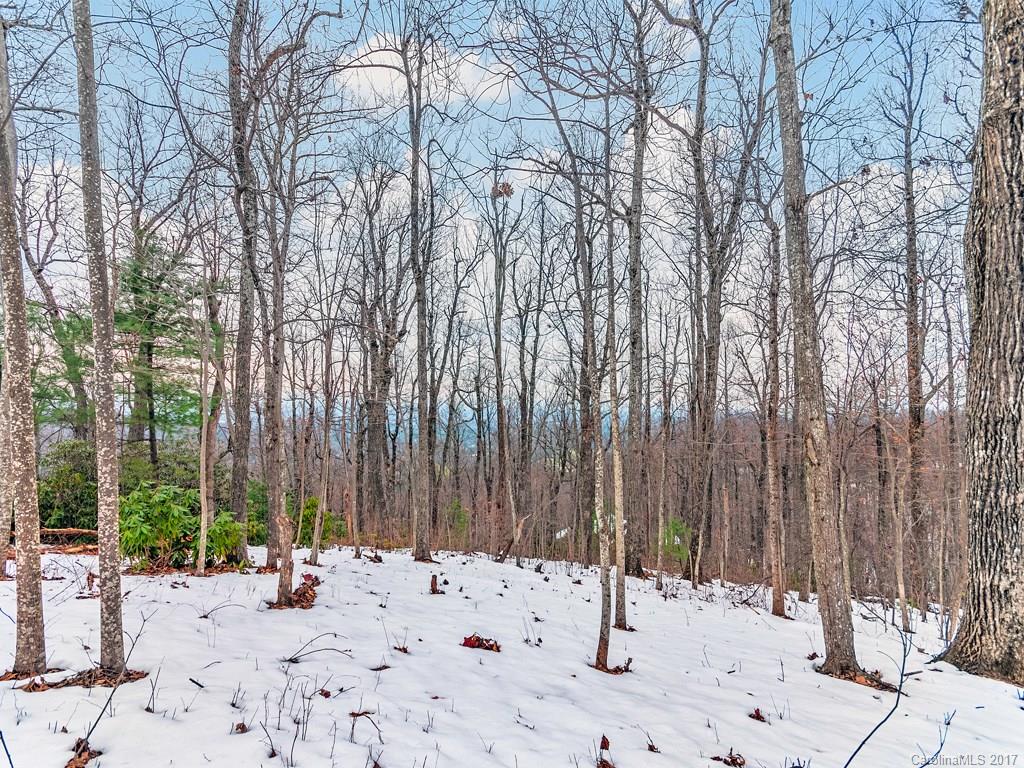 107 Berry Creek Drive Flat Rock NC 28731
