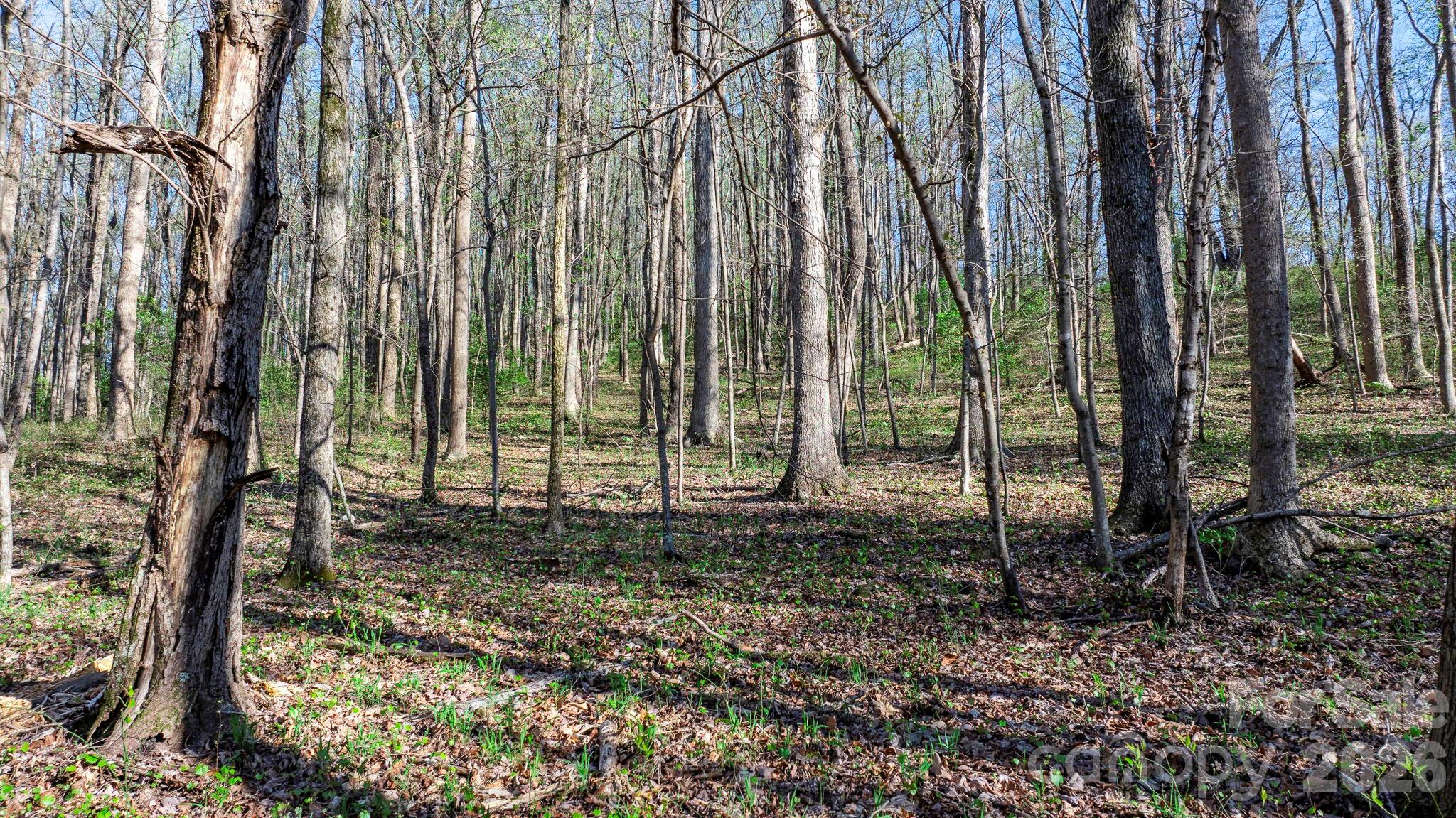 00 Somers Road North Wilkesboro NC 28689