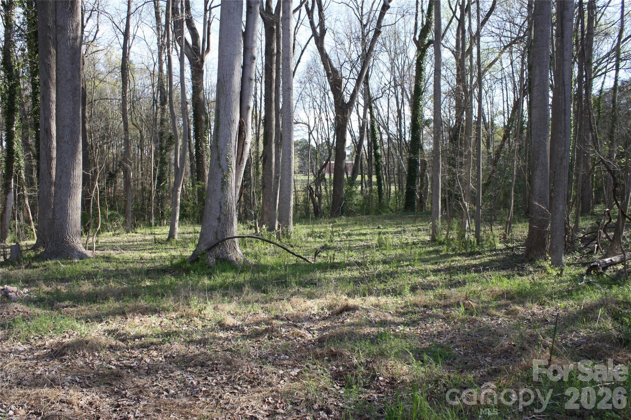 1194 Hoyle Street Rock Hill SC 29732