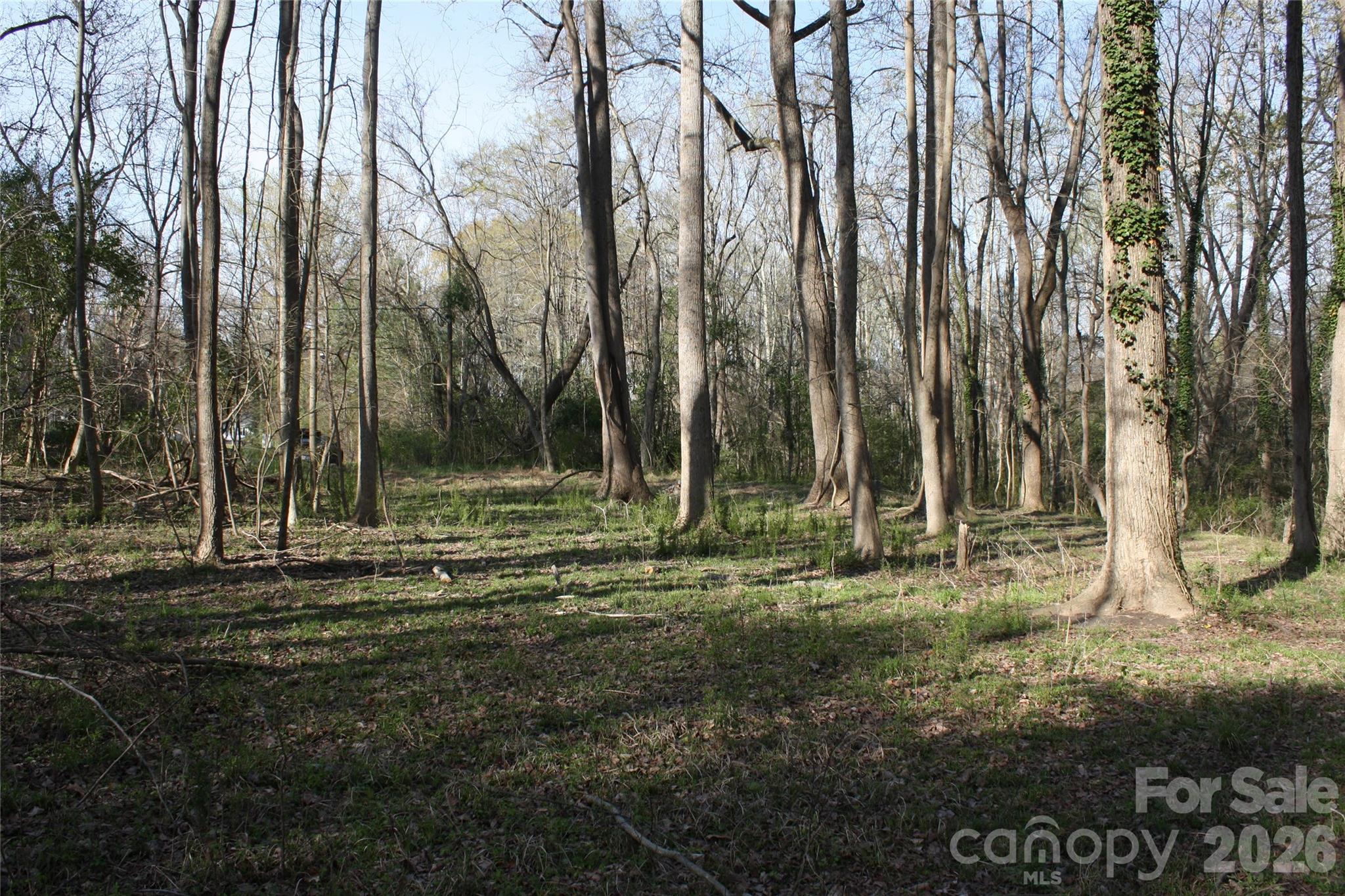 1194 Hoyle Street Rock Hill SC 29732
