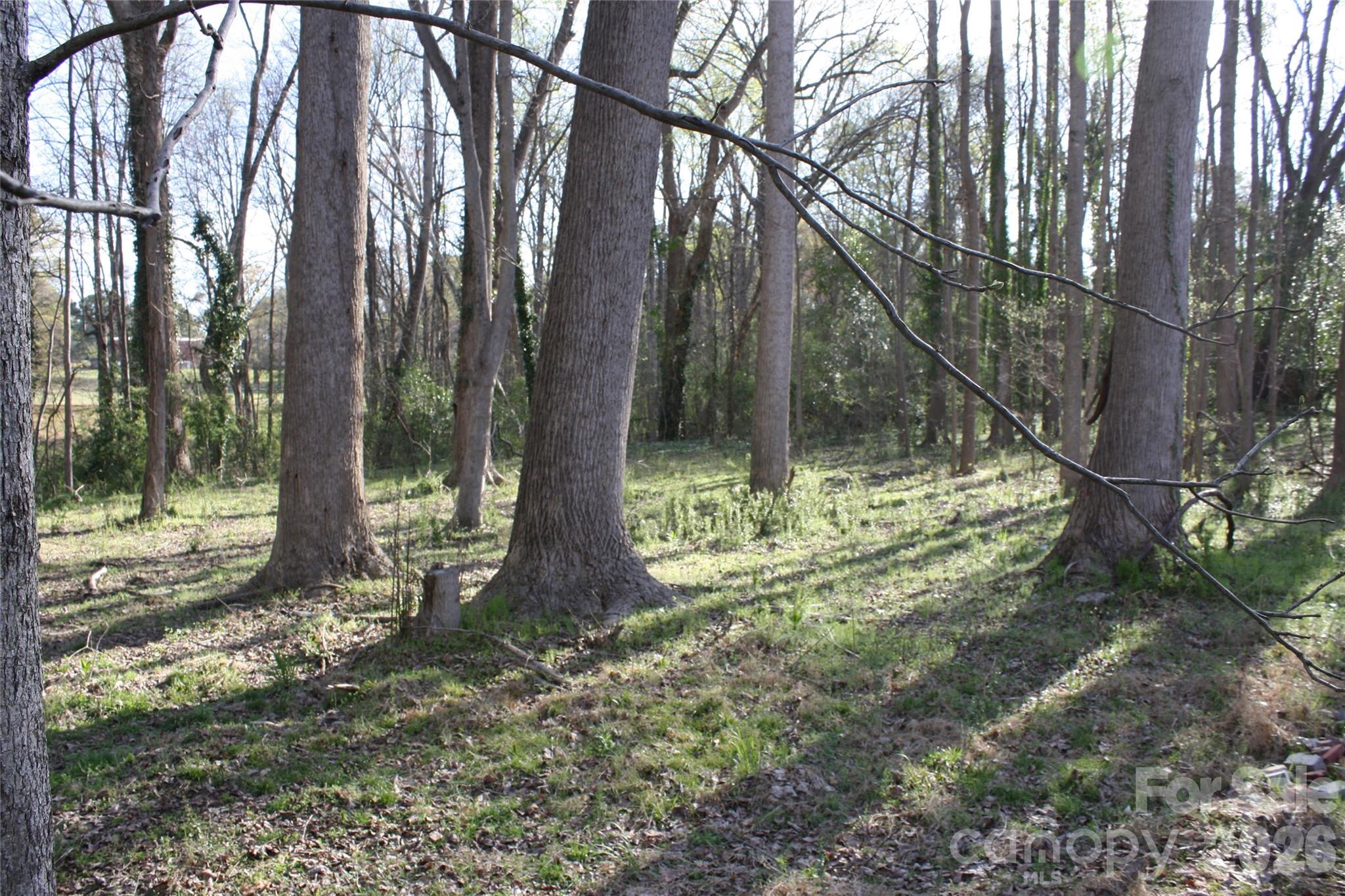 1194 Hoyle Street Rock Hill SC 29732