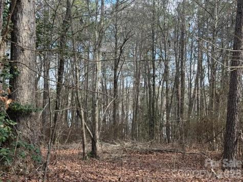 Lot 18 Sanctuary Lane Lilesville NC 28091