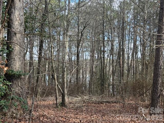 Lot 18 Sanctuary Lane Lilesville NC 28091