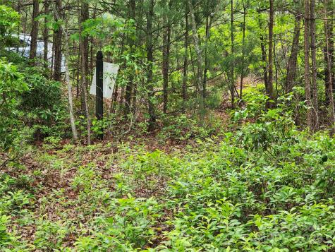 Tbd Derby Chase Court McGrady NC 28649