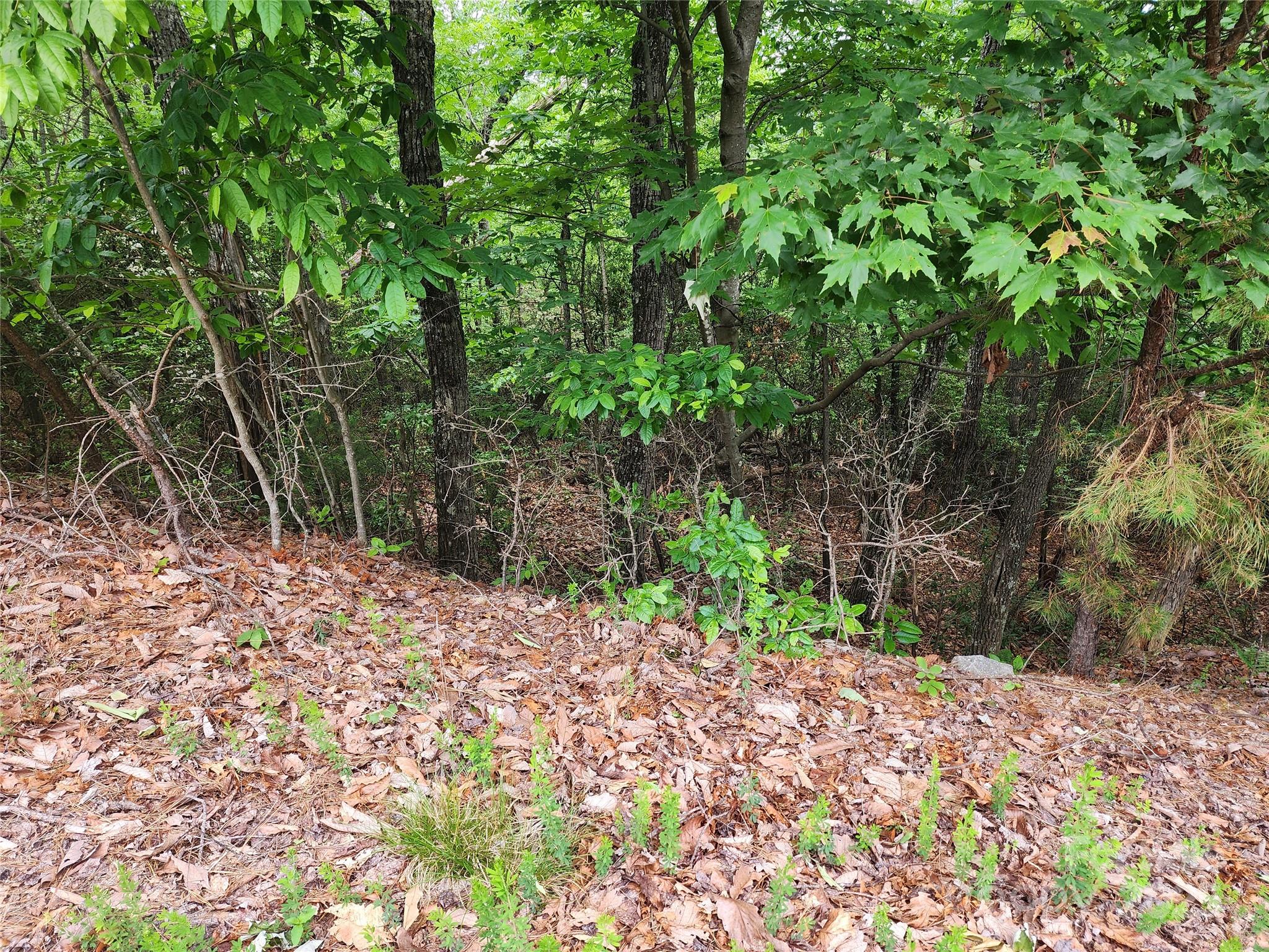 Tbd Derby Chase Court McGrady NC 28649