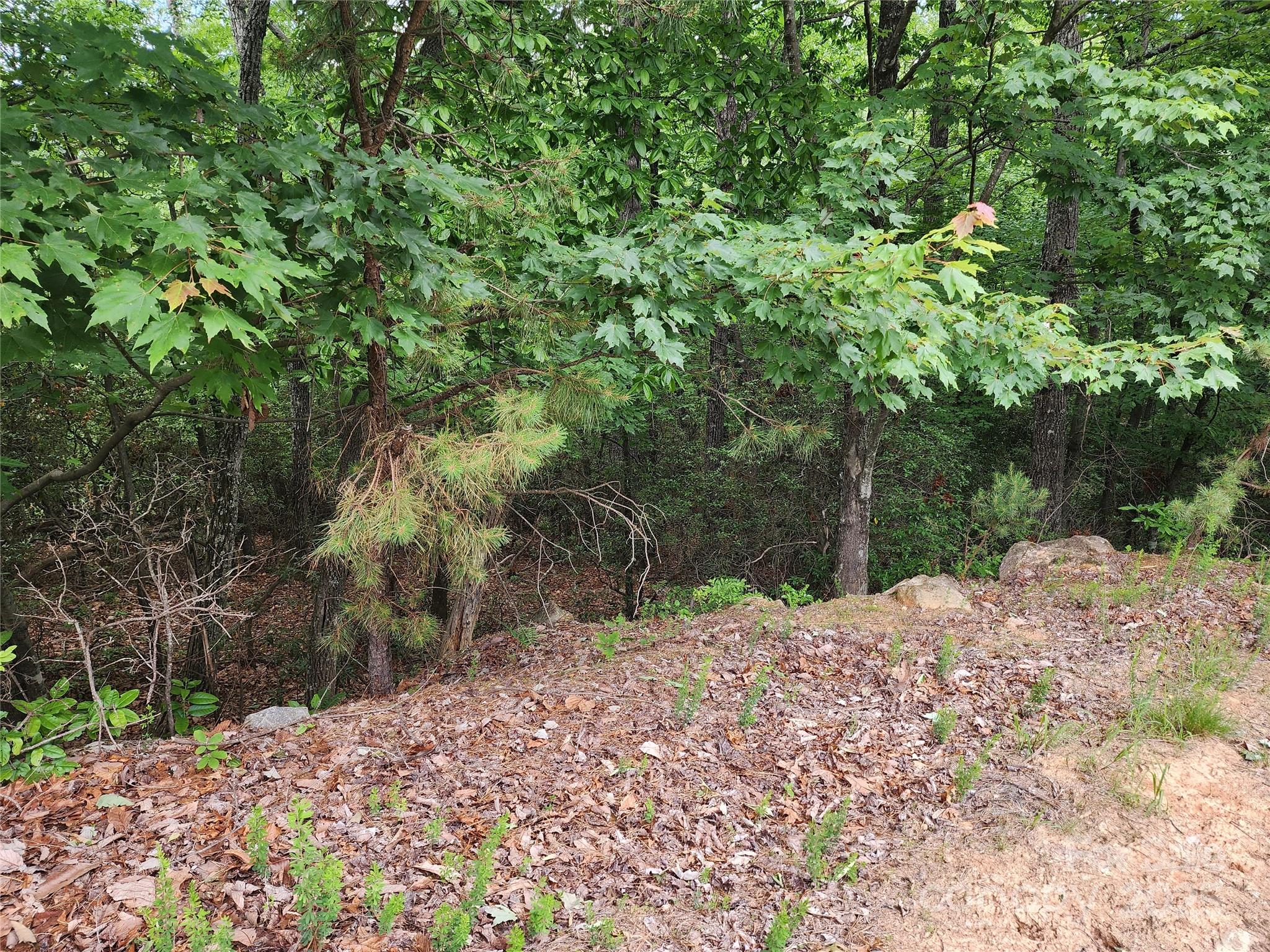 Tbd Derby Chase Court McGrady NC 28649