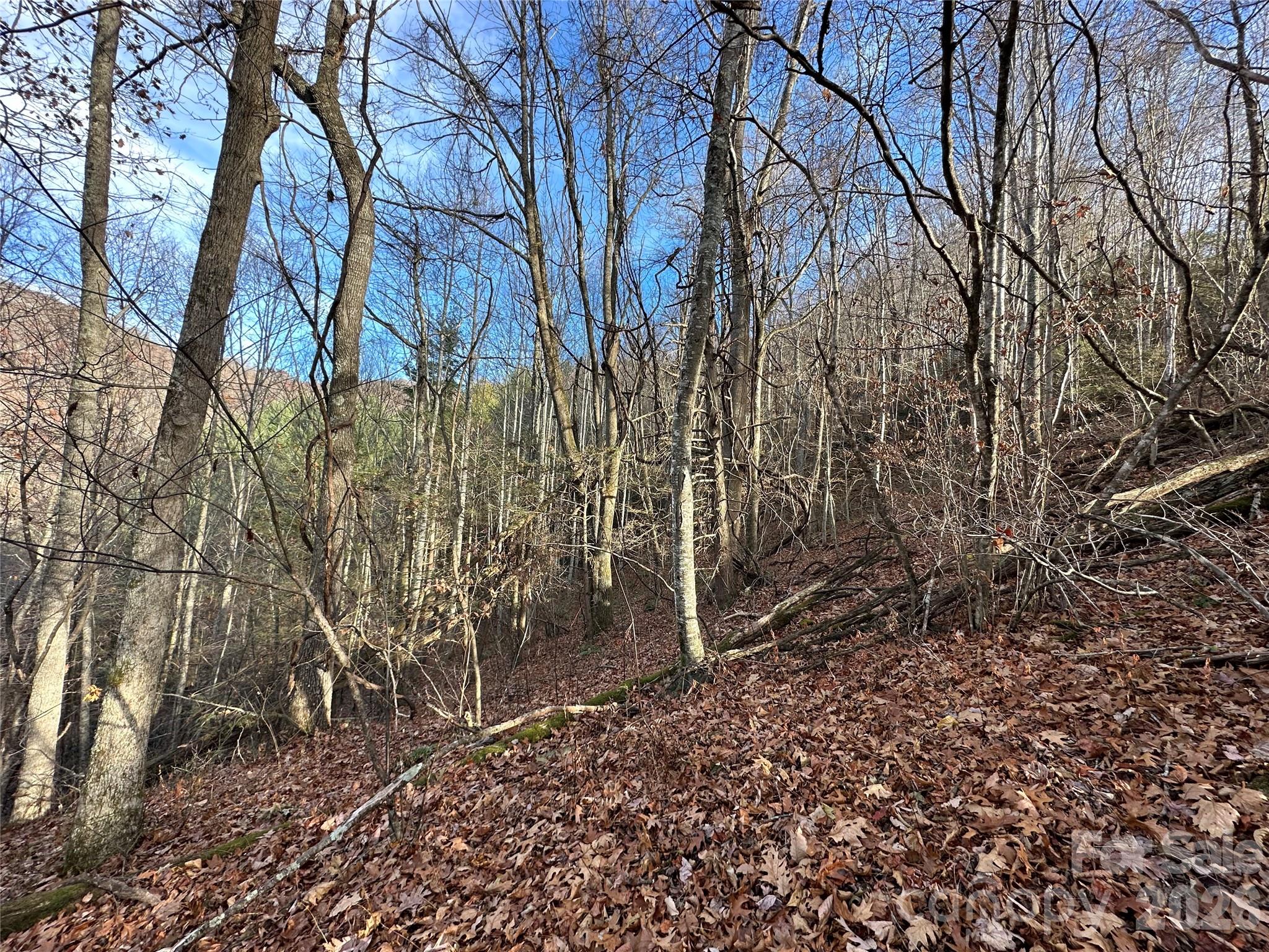 00 Rock House Cove Road Clyde NC 28721