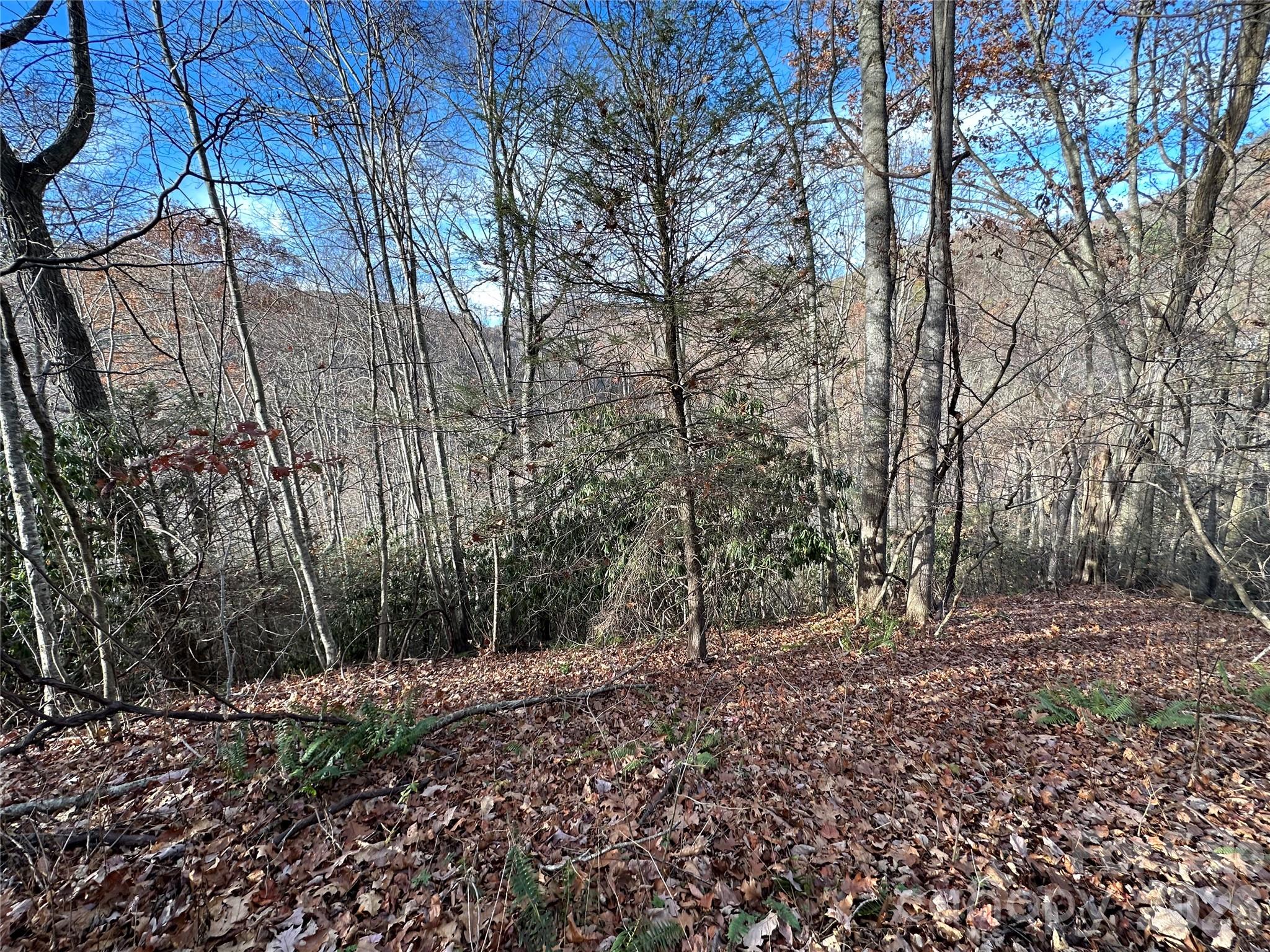 00 Rock House Cove Road Clyde NC 28721