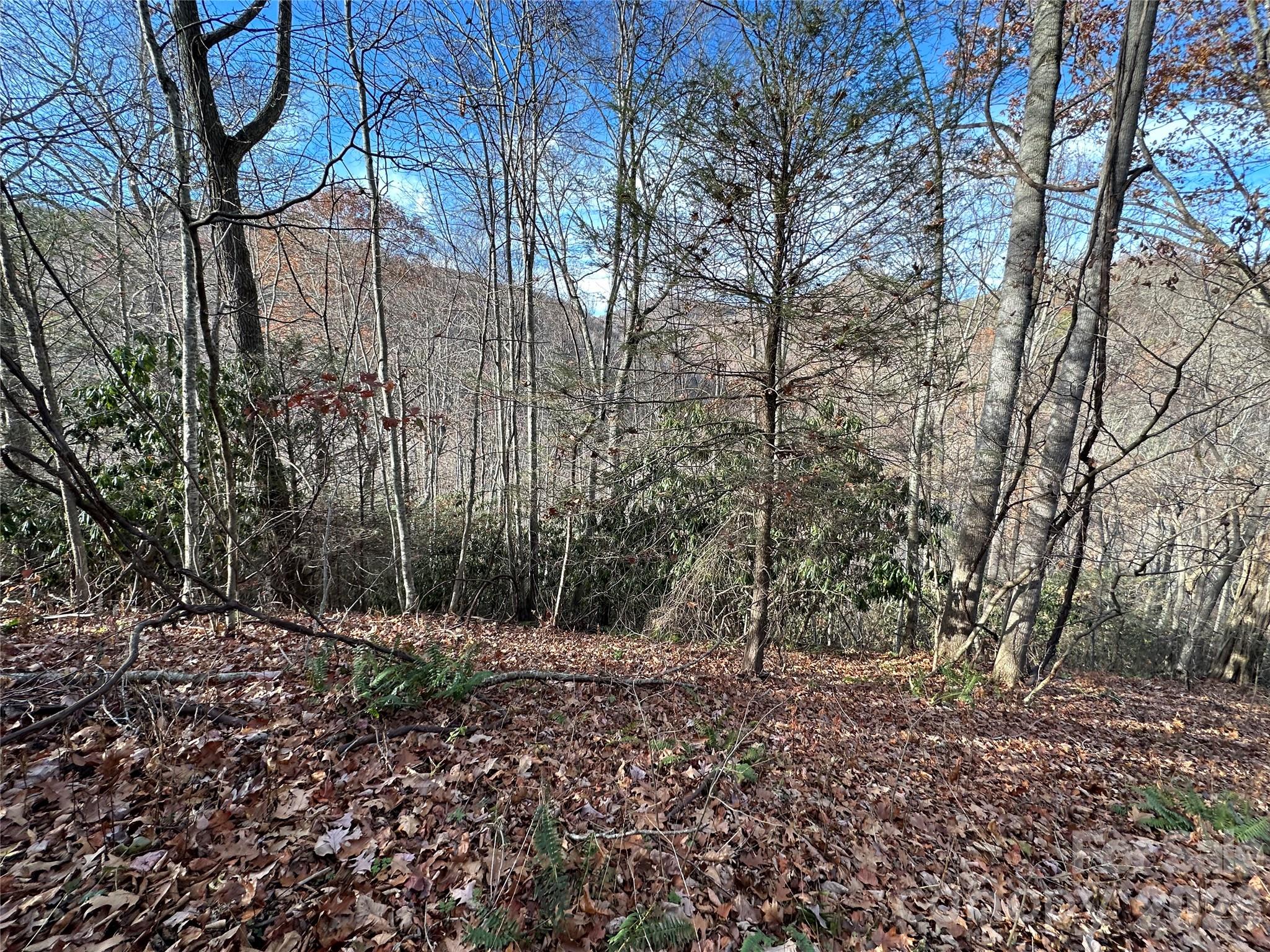 00 Rock House Cove Road Clyde NC 28721