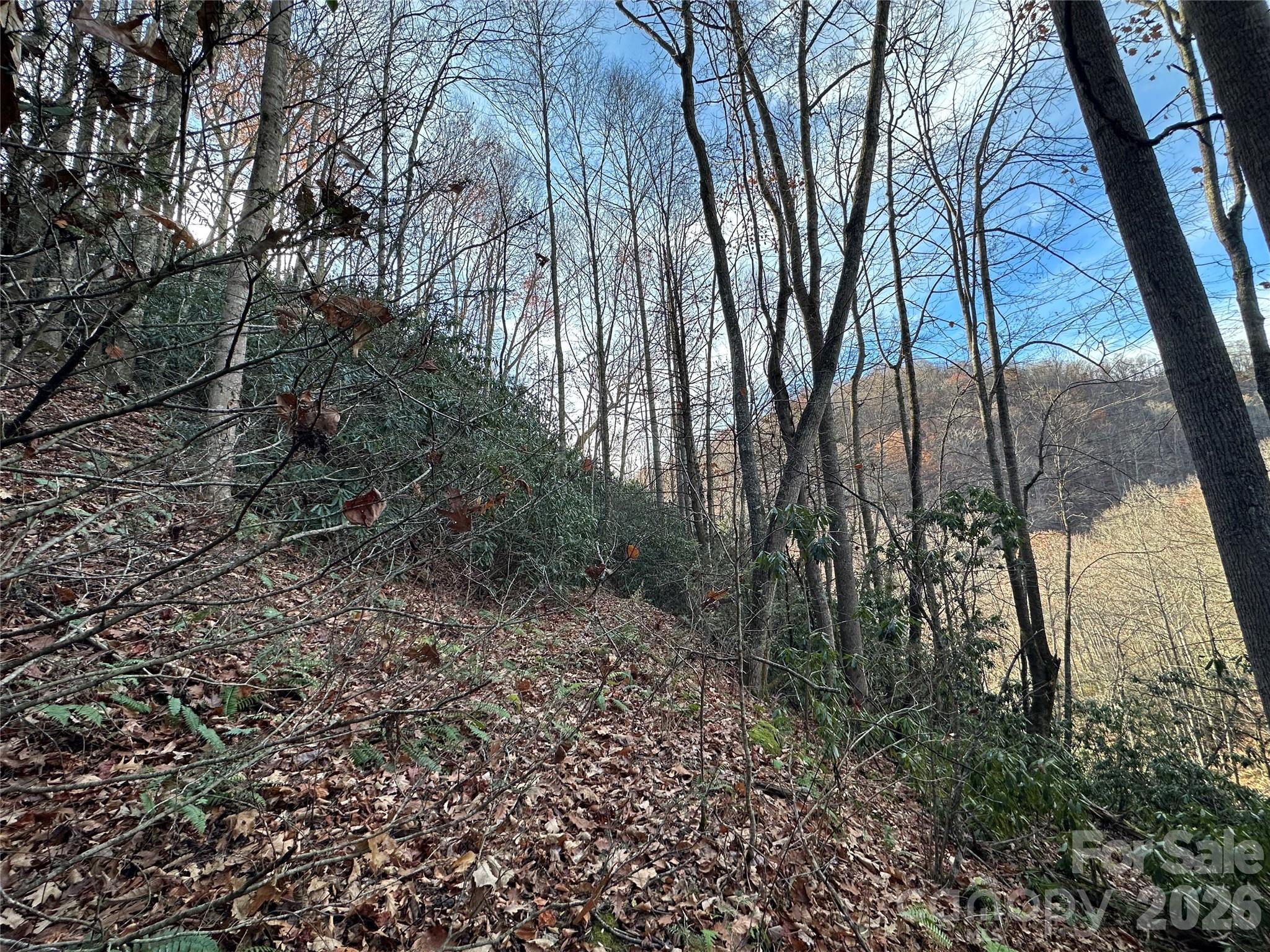 00 Rock House Cove Road Clyde NC 28721