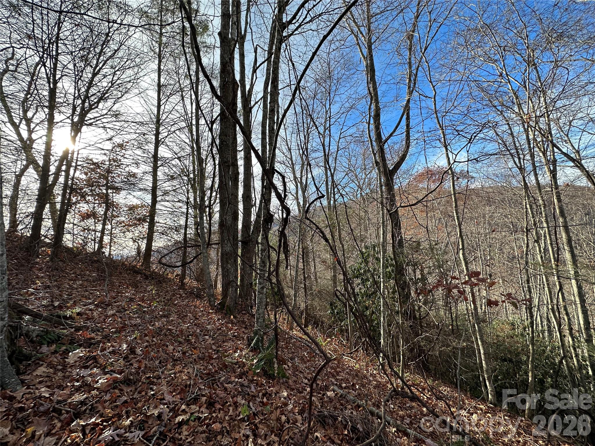 00 Rock House Cove Road Clyde NC 28721