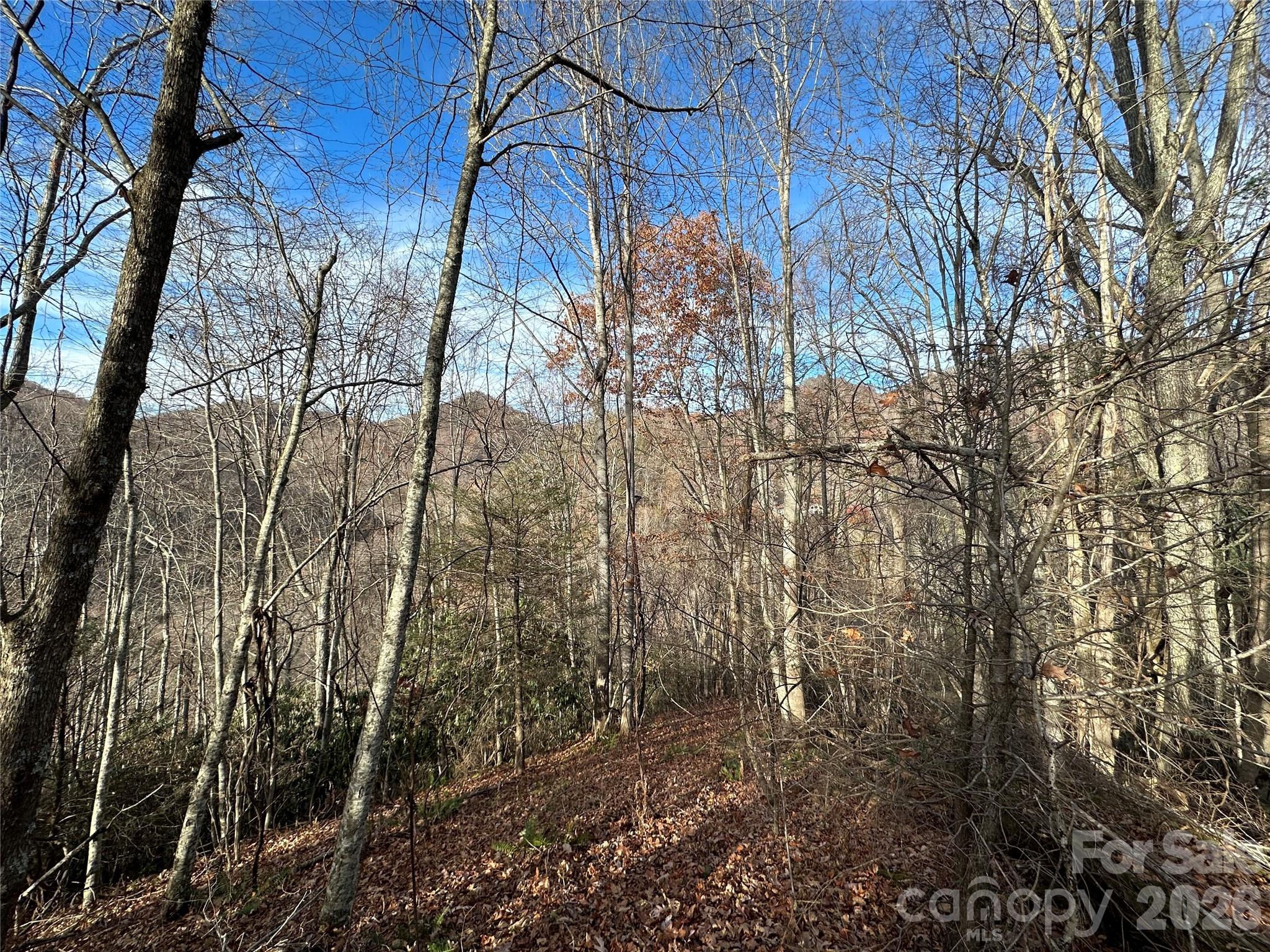 00 Rock House Cove Road Clyde NC 28721