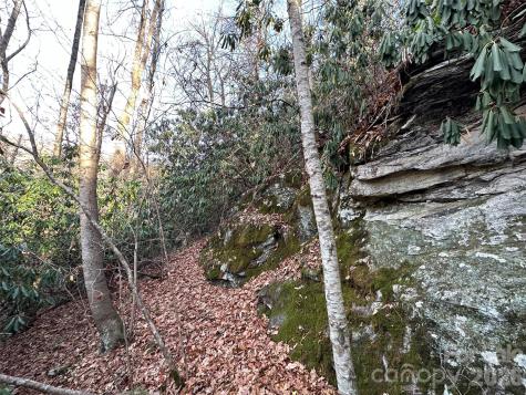 00 Rock House Cove Road Clyde NC 28721