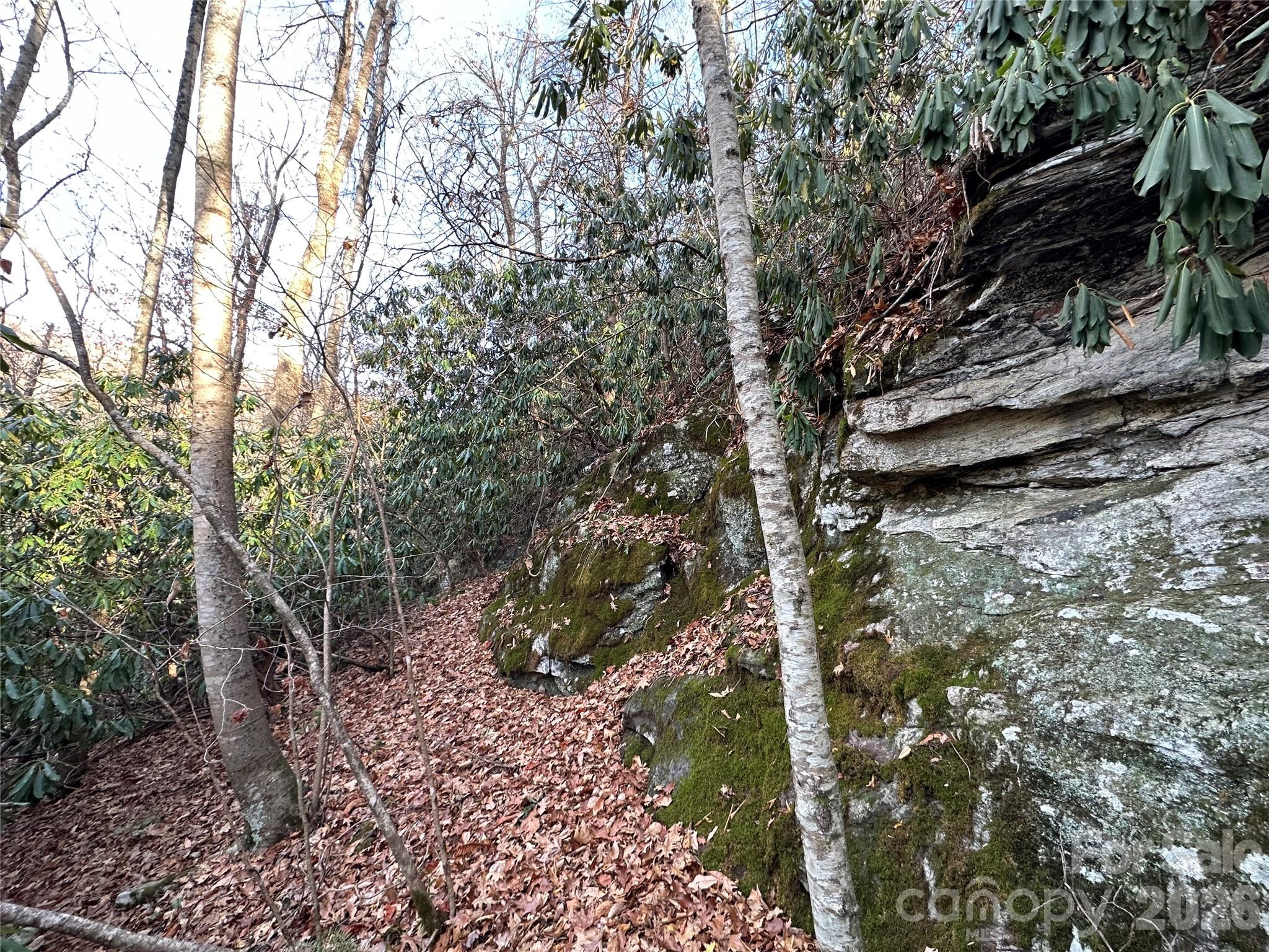00 Rock House Cove Road Clyde NC 28721