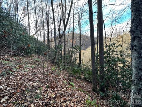 00 Rock House Cove Road Clyde NC 28721