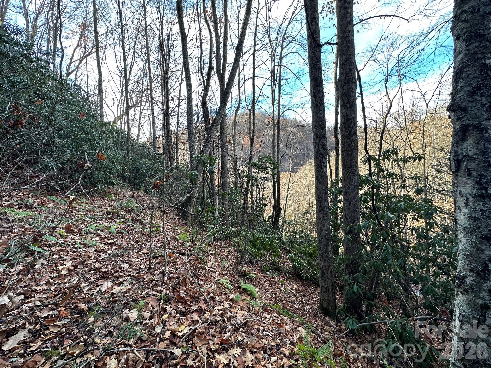 00 Rock House Cove Road Clyde NC 28721
