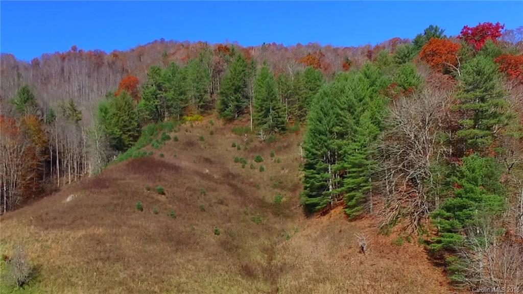 535 Foster Creek Road Marshall NC 28753