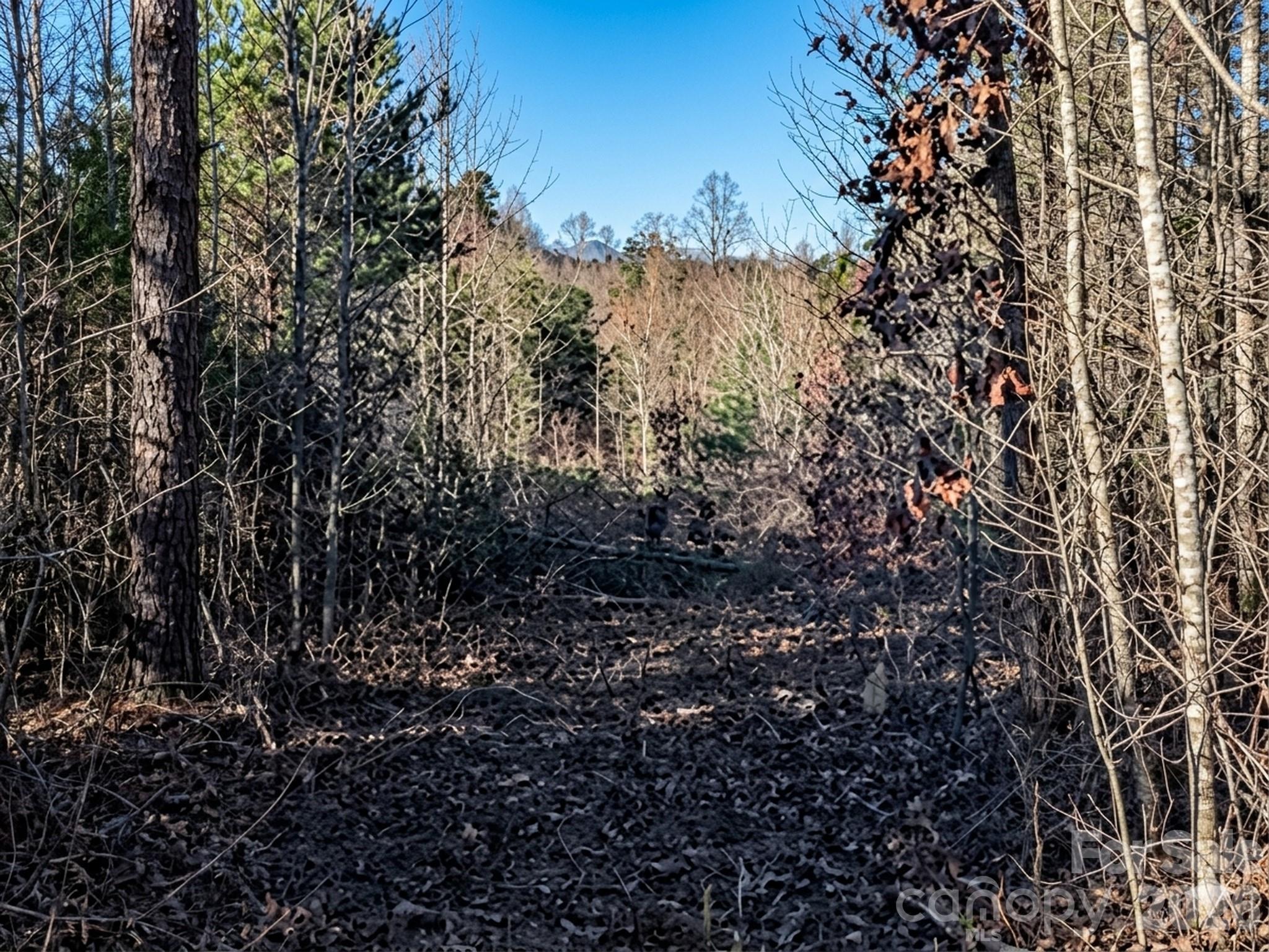 1981 Jamestown Road Morganton NC 28655
