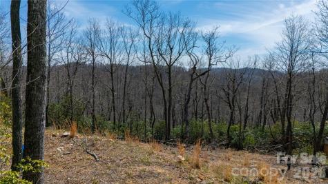 000 Walker Ridge Spruce Pine NC 28777