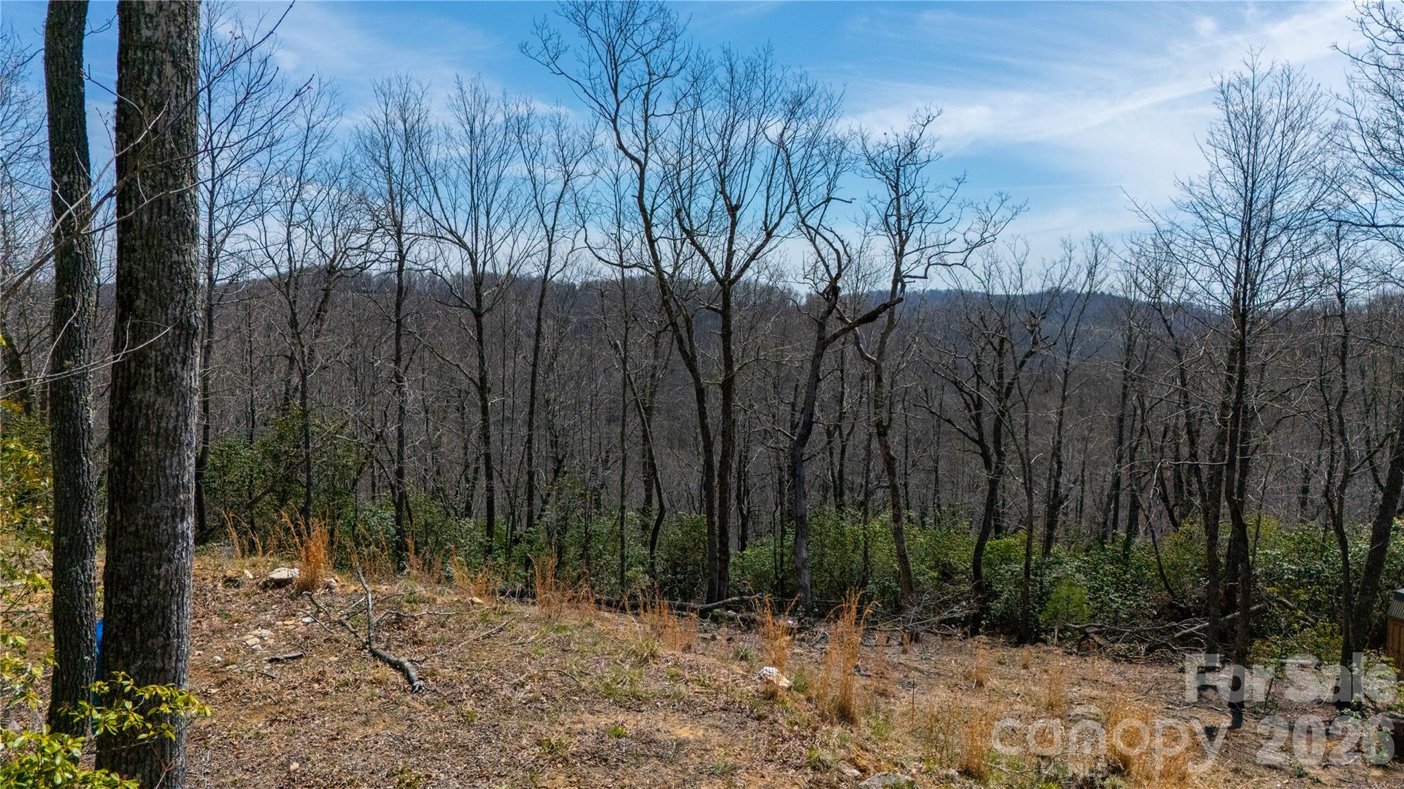 000 Walker Ridge Spruce Pine NC 28777