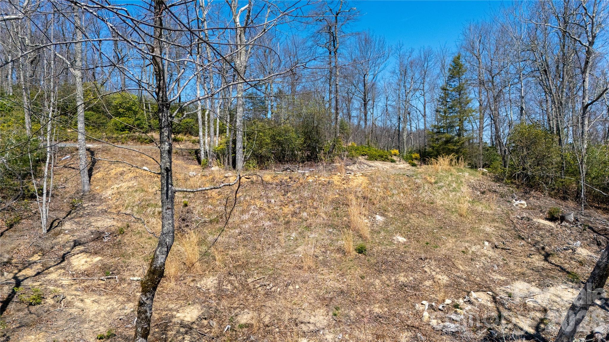 000 Walker Ridge Spruce Pine NC 28777