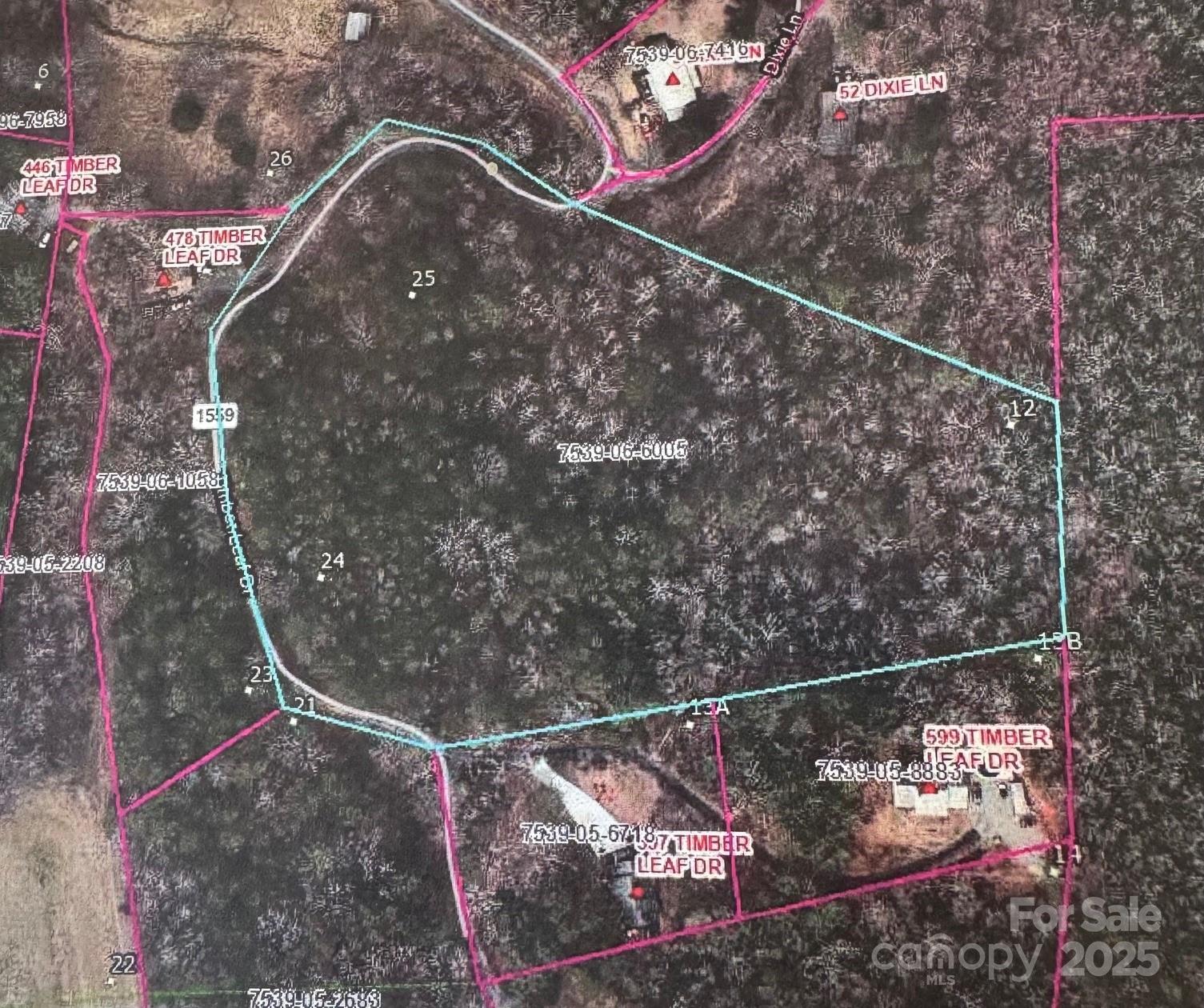 Lot 12 Timber Leaf Drive Sylva NC 28779