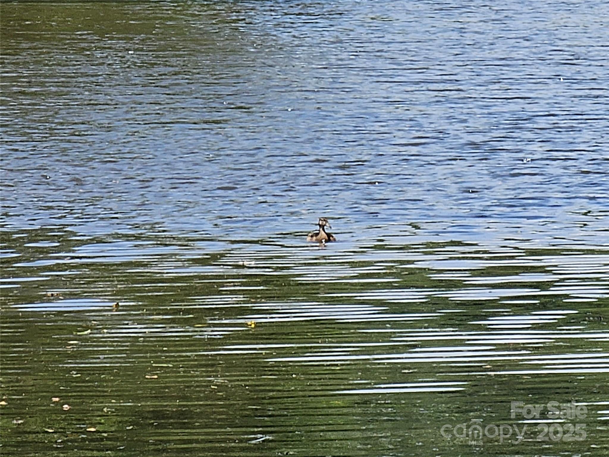 0 Waters Edge Drive Granite Falls NC 28680