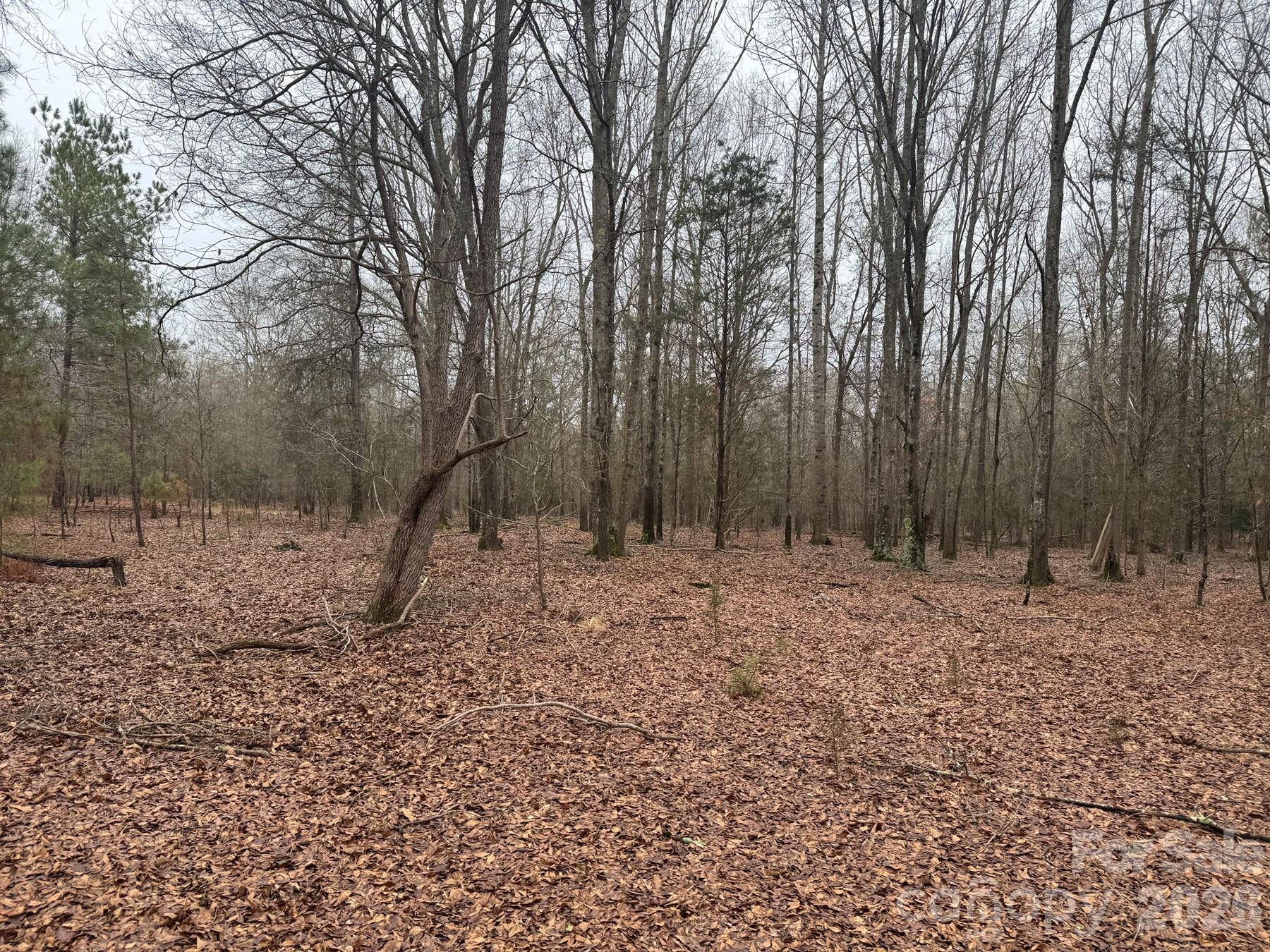 4252-1 Reid Road Rock Hill SC 29730