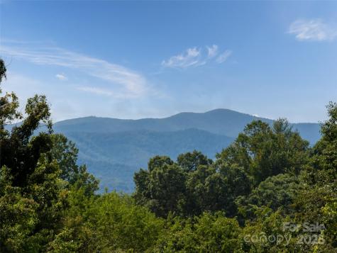 202 Soapstone Trail Mills River NC 28759