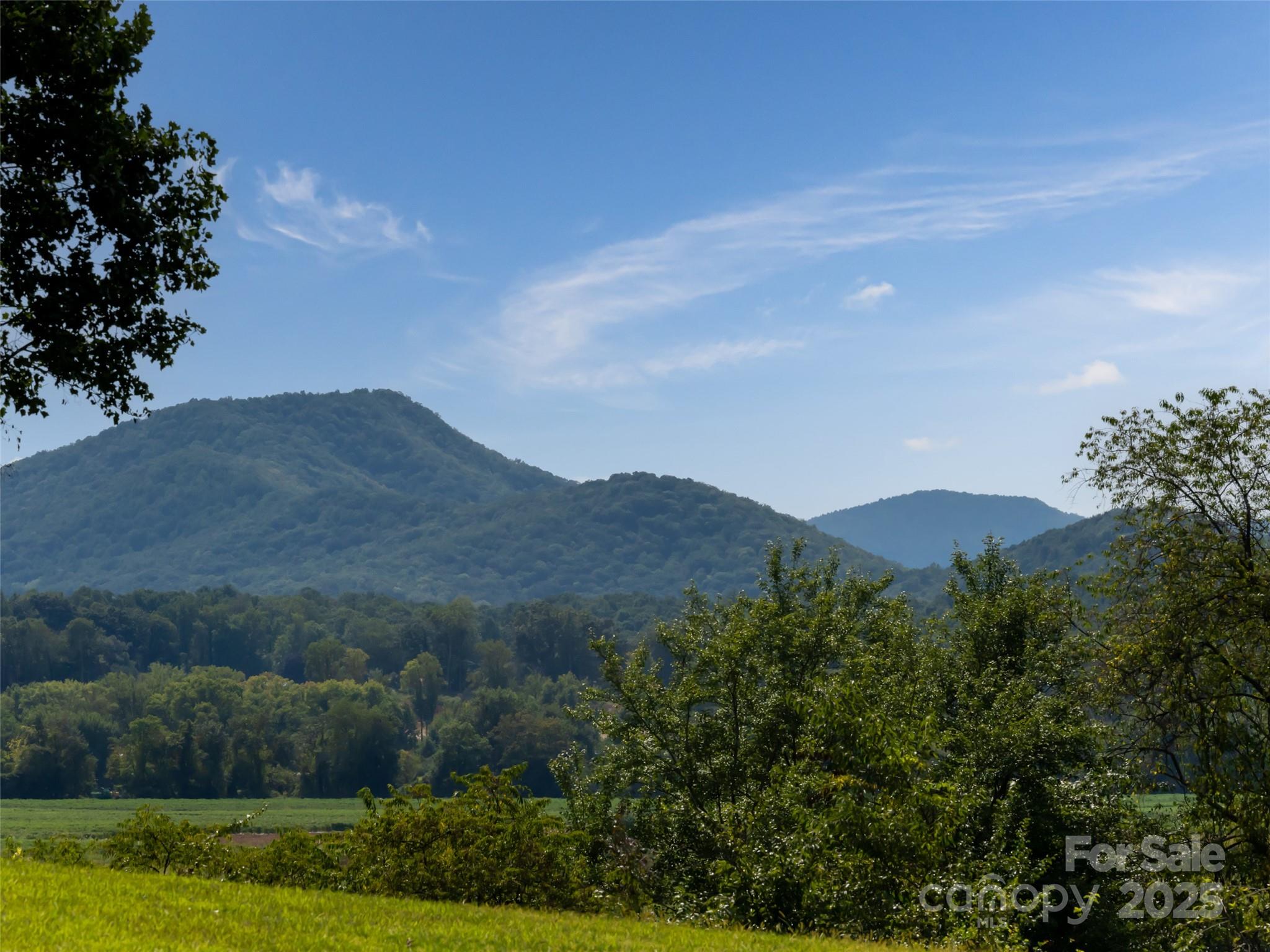 202 Soapstone Trail Mills River NC 28759