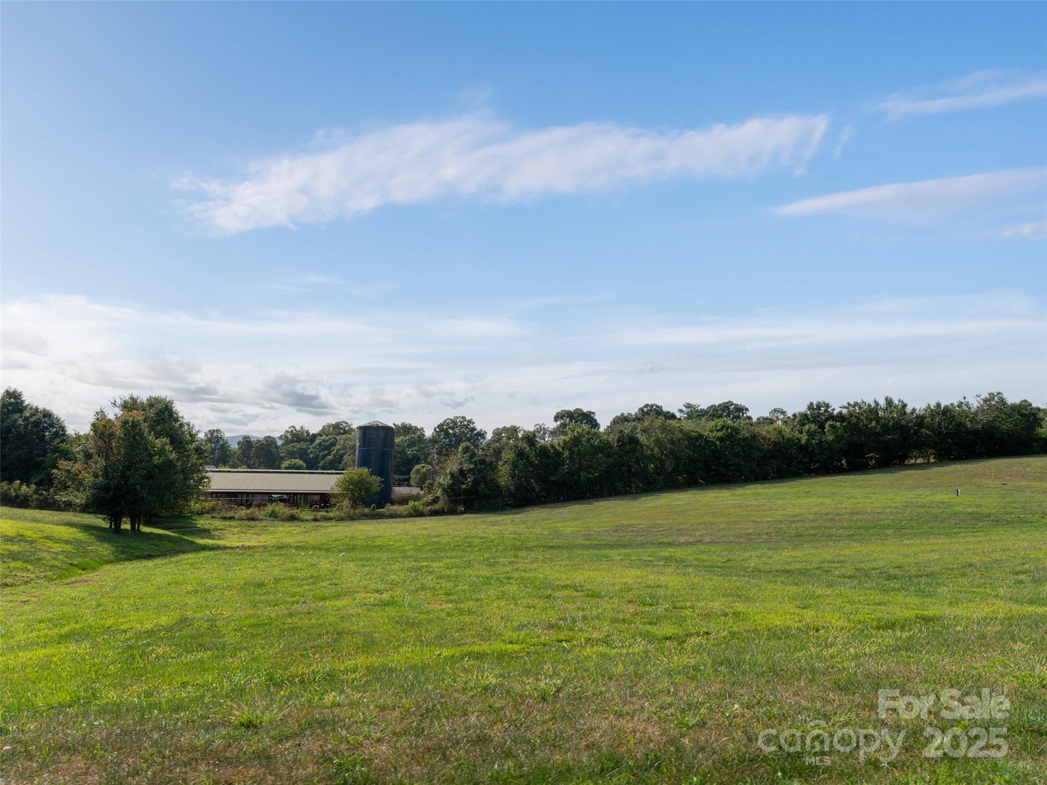 202 Soapstone Trail Mills River NC 28759