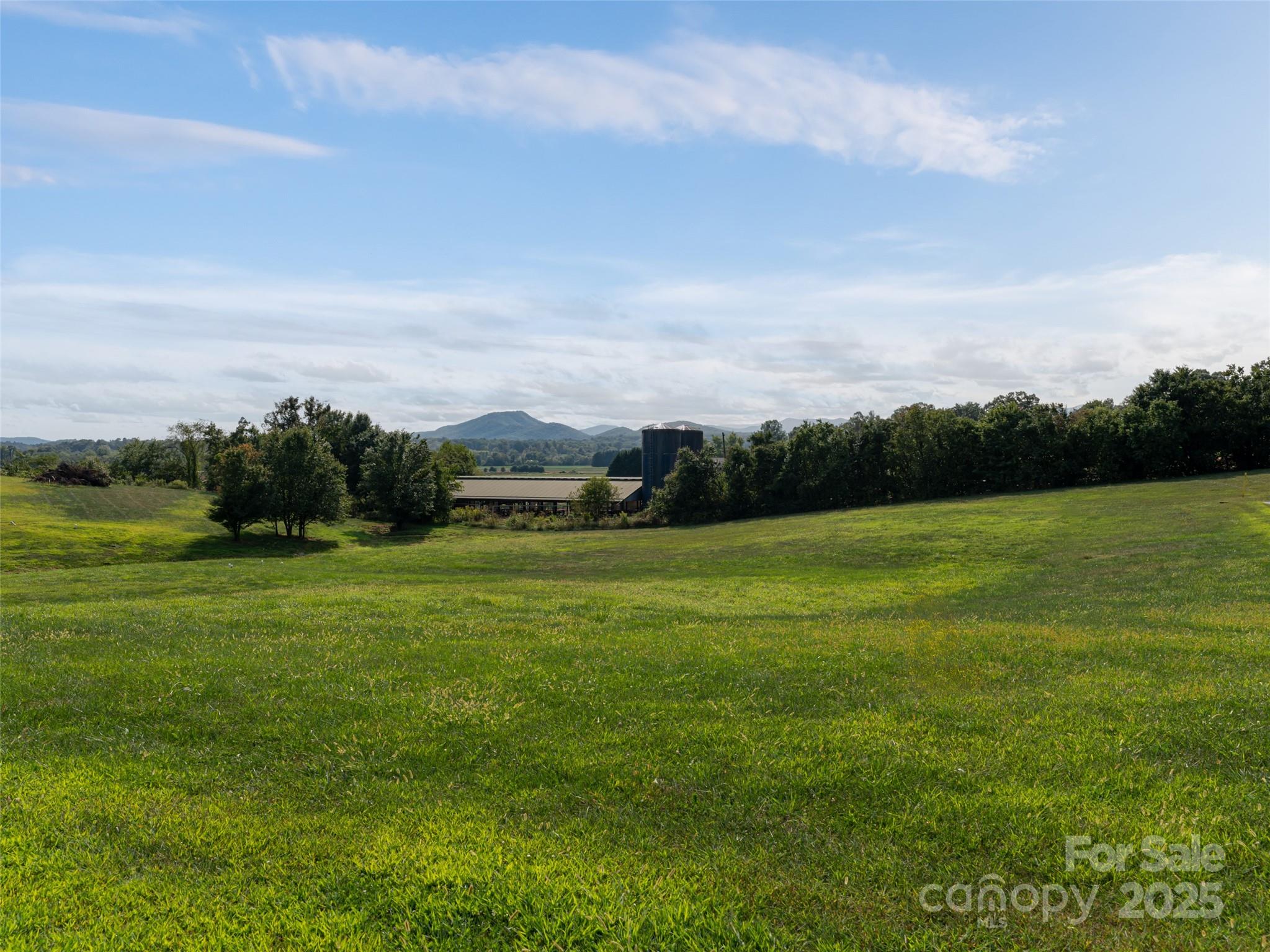 202 Soapstone Trail Mills River NC 28759