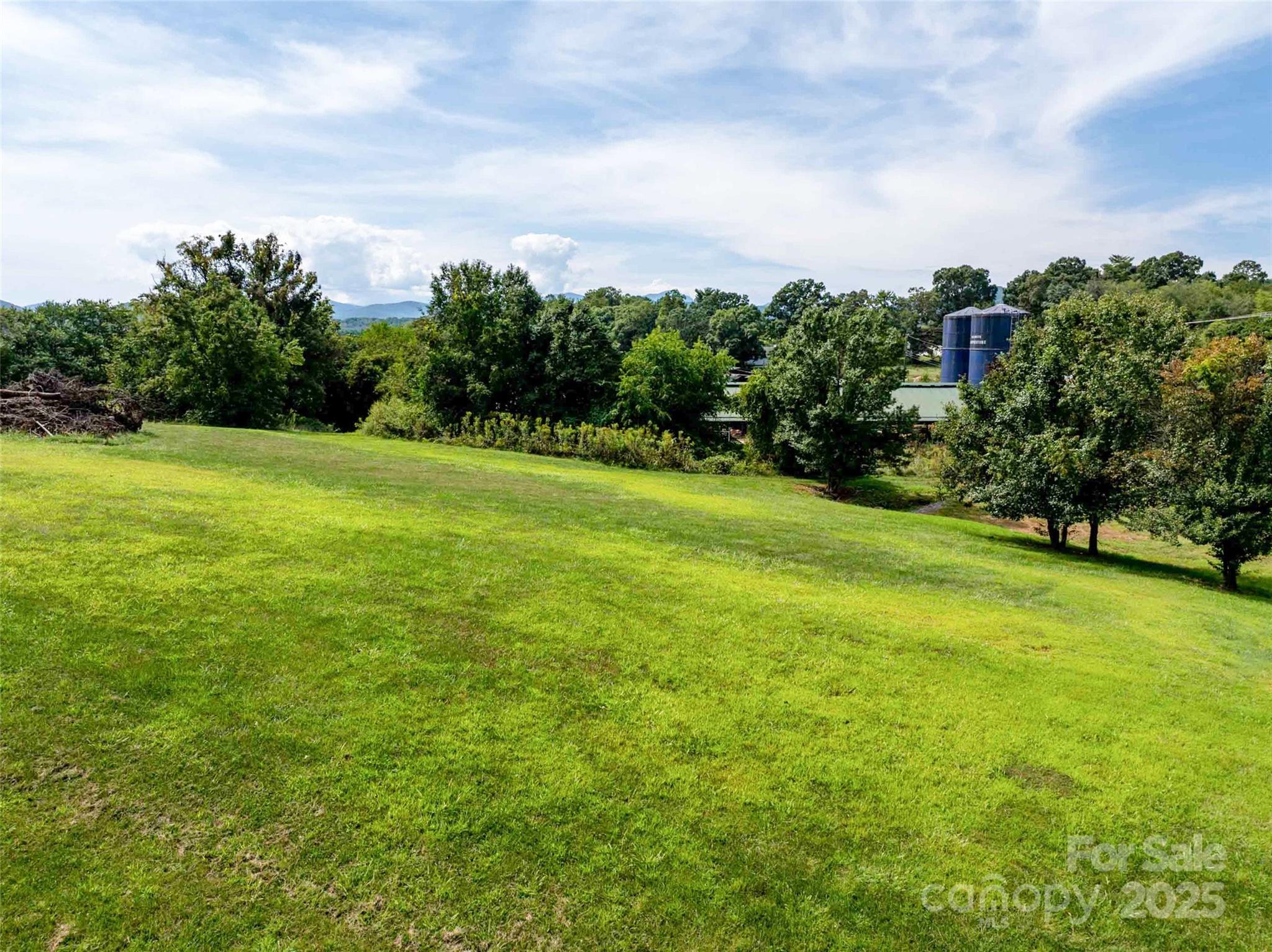 202 Soapstone Trail Mills River NC 28759
